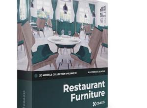 32组餐厅饭店座椅和餐桌等家具3D模型合集CGAxis 第99