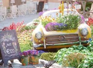 植物花朵花园3D模型 Evermotion Archmodels Vol.183