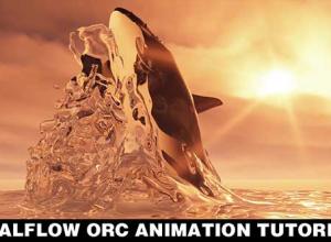 C4D+RealFlow制作鲸鱼出水动画教程 Skillshare – RealFlow Orca Animation Tutorial