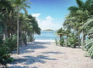 棕榈树植物3D模型集合CGAxis第110卷