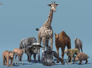 Unity非洲动物包2含绑定水牛长颈鹿大猩猩等African Animal Pack 2 v2.0