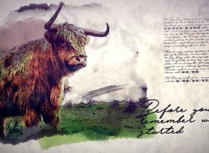 AE模板-素描幻灯片水墨晕染图片介绍片头 Sketch Slideshow