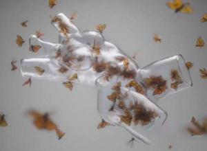 C4D+ZBrush蝴蝶玻璃场景制作教程 UNHIDE School – Butterflies Inside