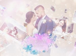 AE模板-唯美粒子花瓣婚礼照片相册片头 Wedding Photo Story