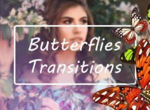 动态图形包4个飞舞蝴蝶视频转场 Butterflies Transitions