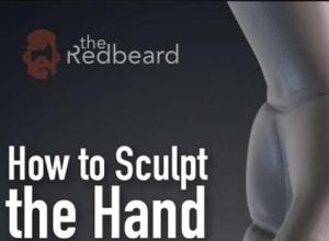 手部模型雕刻ZBrush教程 Gumroad – How to Sculpt the Hand