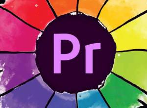 PR LUTS调色基础教程 SkillShare – Premiere Pro Lumetri: Color Correct like a Pro