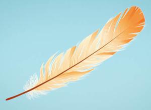 使用空气动力学制作羽毛下降飞舞动画C4D教程+双语字幕