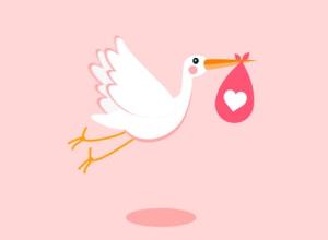 AE模板-送子鸟生日庆祝活动卡通动画片头 Stork – Baby Birthday Opener