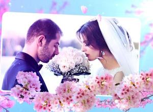 AE模板-鲜花枝叶生长花瓣飘零浪漫婚礼视频开场 Wedding Flowers Slideshow
