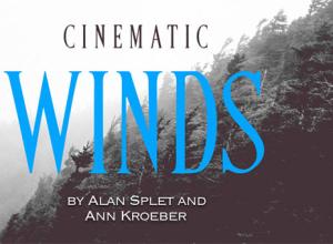 专业音效-电影风98个室内风自然风狂风风暴WAV无损音效