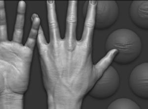 15组手皮肤细节雕刻Zbrush笔刷Gumroad ZBrush Hand Details VDM Brush