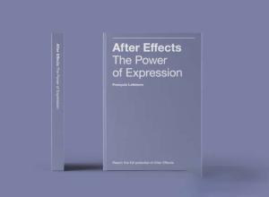 AE表达式全面讲解英文PDF文档 After Effects – The Power of Expression Book