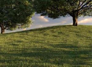 3DS MAX草地自动生成插件破解版 Happy Digital AutoGrass 1.50 for 3ds Max 2013 – 2020
