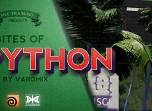 Houdini Python语言教程 Mix Training – Bites of Python