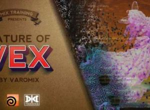 Houdini VEX语言教程 Mix Training – Nature of Vex