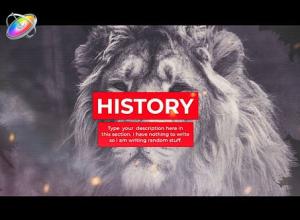 FCPX模板插件-水墨遮罩历史回忆照片相册片头动画