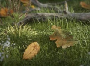 62个C4D Octane渲染器叶子材质预设