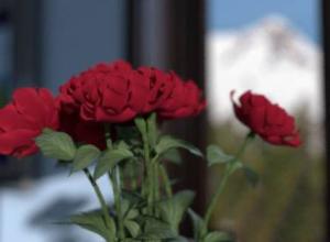 Maya阿诺德渲染器使用教程+英文字幕Lynda – Maya Rendering in Arnold 6