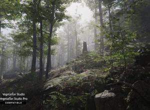 Unity森林环境-动态自然Forest Environment - Dynamic Nature v1.8.7