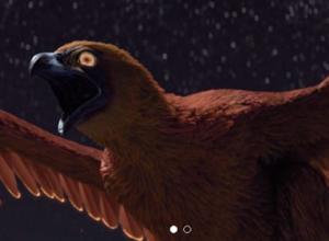 Houdini鸟类羽毛制作插件+教程 Gumroad – Feather Tools For Houdini FX