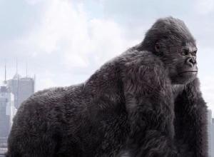 毛发模拟Maya插件 Peregrine Labs Yeti 3.6 For Maya 2018 – 2020 Win破解版