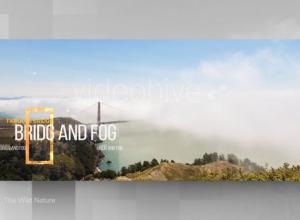 AE模板-风景大自然动物山脉岩石图片视频片头