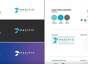 Ai标志LOGO设计理论排版颜色入门到精通完整课程