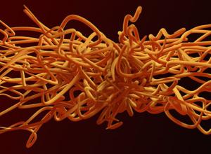 参数随机样条曲线生成C4D插件Umamiv1.22 for Cinema 4D + 使用教程