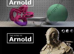 GSG灰猩猩C4D Arnold阿诺德渲染器基础教程第二部分
