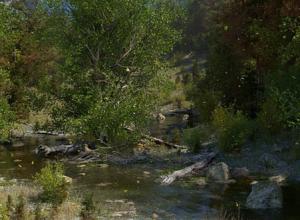 Octane渲染器小溪河流三维自然场景C4D教程