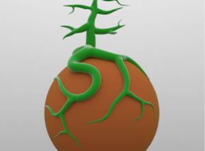 植物树叶枝干分支建模C4D插件 Nitro4D NitroVeins v1.3 Win/Mac破解版