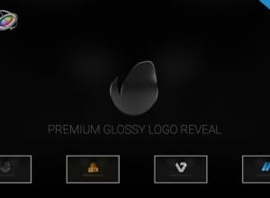 FCPX插件-三维金属质感反射Logo动画