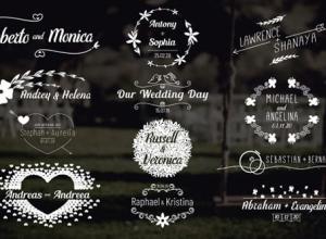 FCPX插件-12个4K婚礼标签文字标题动画