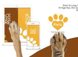 AE模板-宠物动物点击滑动手机设备图片 Pets Flat MockUp Device Kit