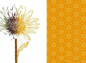 Photoshop 2021平面设计基础PS教程+英文字幕