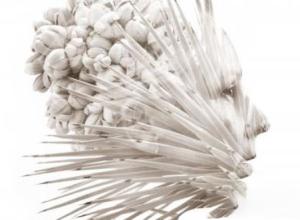 Photoshop 2021摄影后期基础PS教程+英文字幕