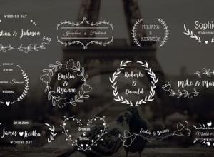 FCPX插件-优雅婚礼爱情故事文字标题字幕预设 Elegant Wedding Titles