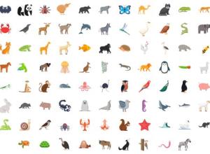 AE模板-100组动物鸟类鱼类昆虫图标ICON动画 100 Animals & Birds Icons