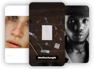 FCPX插件-INS分格时尚竖屏文字图片包装介绍