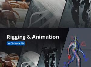 C4D三维模型绑定动画视频教程-运动设计学院