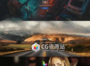 FCPX插件-195组大气LUTs视频电影婚礼vlog短片调色预设