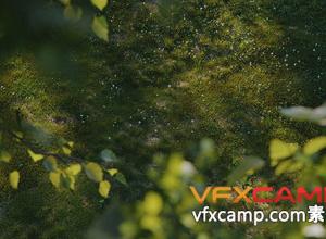 植物生成C4D插件预设 Laubwerk SurfaceSPREAD v2.0.4 Win