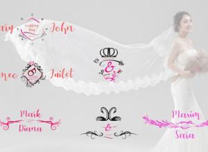 FCPX插件-婚礼文字标题字幕动画 Wedding Titles Pack