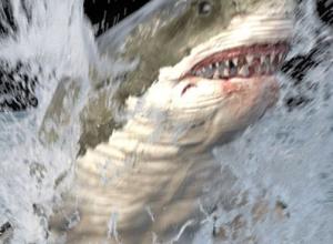 85组烟花粒子枪口闪光白水流体海洋特效Houdini工程文件