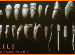 24组Zbursh猛禽动物指甲爪子雕刻细节3D模型笔刷预设