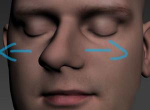 3DS MAX抖动插件 Jiggle 1.01 + 使用教程