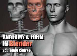 Blender男性人体形态解剖全身造型雕刻视频教程