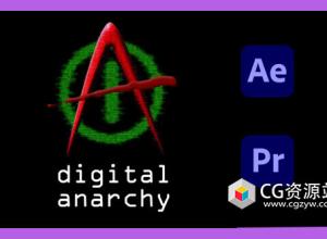 AE/PR插件-磨皮美颜锐化视频去闪烁插件包 Digital Anarchy Bundle 2025.5 CE Win