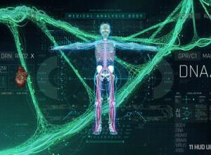 AE模板-科技感医疗身体心脏大脑DNA链病毒HUD UI界面元素